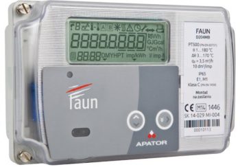 Energikalkulator, FAUN D204 for PT500,  230V AC